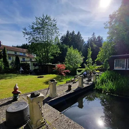 Haus Sonneck * Wildemann