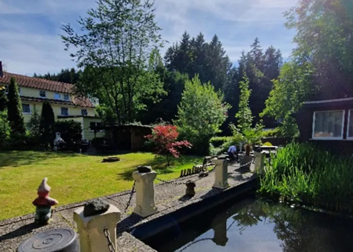 Haus Sonneck * Wildemann